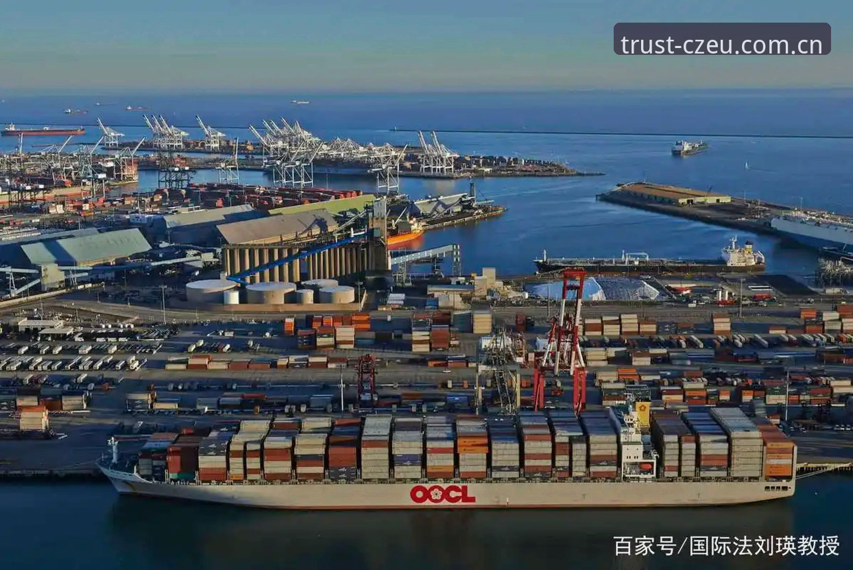 为什么中欧官网能成为国际品牌信任的核心枢纽？